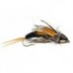 Realistic Giant Dark Stonefly
