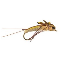 Realistic Heavy Black JC Stonefly
