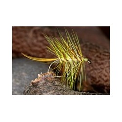 GartmorePalmerYellow