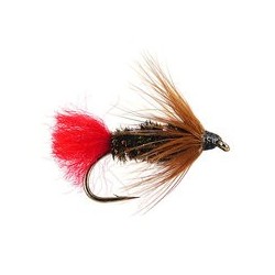 Brown Hackle Peacock