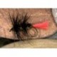 BlackWormFly