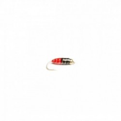 Watson's Fancy (Bold)