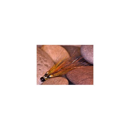 PBP W Gunn Gold