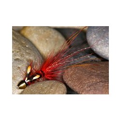 Pot Belly Pig Red CH