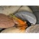 Cascade PBP CH