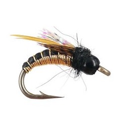 Wired Caddis Gold