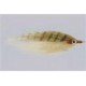 CF Baitfish Bronze Tan