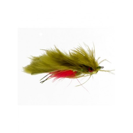 criss cross crawfish  olive