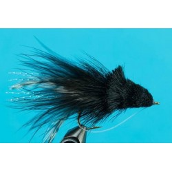 dahlberg diving bug black large