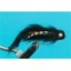 dilg slider black