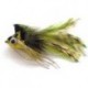 diving yellow olive bass bug