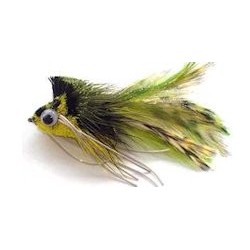 diving yellow olive bass bug