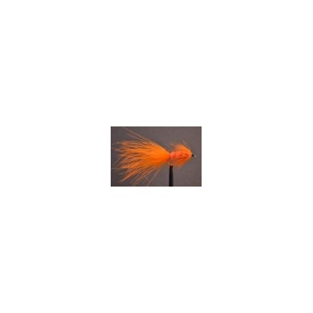 Tadpole   Orange