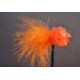 Orange Fritz Goldhead