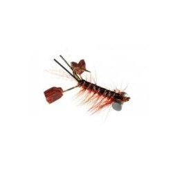 Fighting Craw Rust