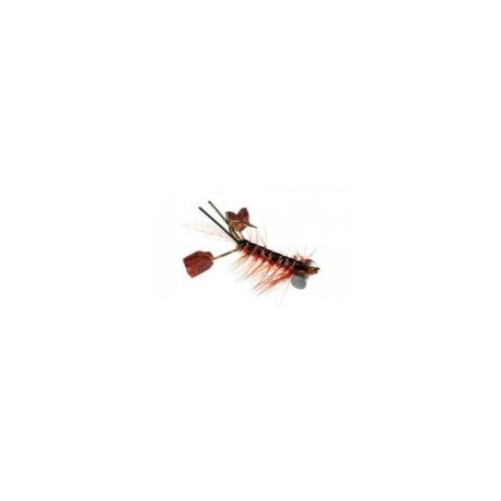 Fighting Craw Rust