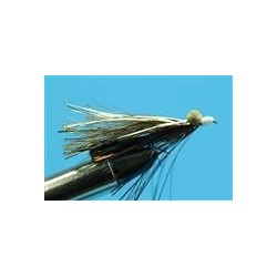 flash minnow