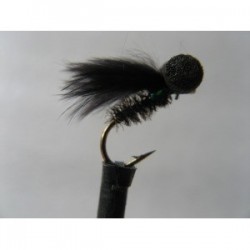 cormorant holo green booby