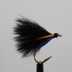 holo blue body cormorant