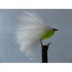 fluo red head cats whisker