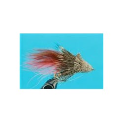Flathead Diver