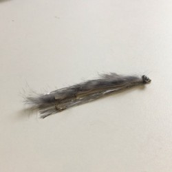 silver eyed chinchilla snake