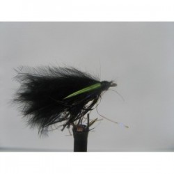 uv black straggle cormorant
