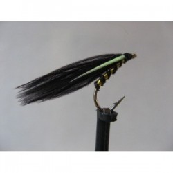 ians black cormorant