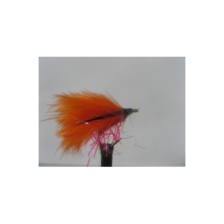uv orange straggle cormorant
